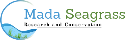 Mada Seagrass