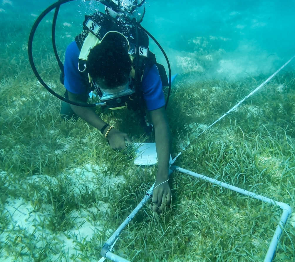 Suivi écologique